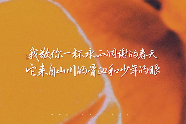 我敬你一杯永不凋谢的春天它来自山川的骨血和少年