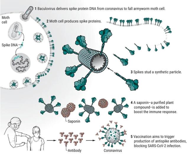 宠物需要接种疫苗吗?《Science》杂志这么说