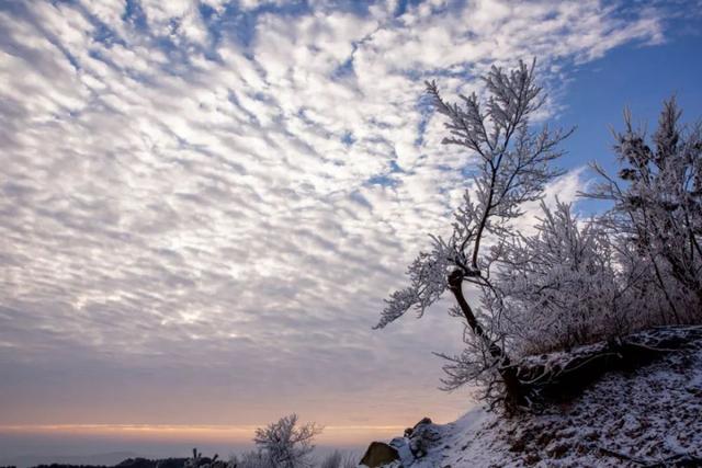 今日大雪，白首与君归