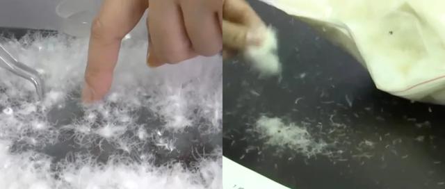 吊牌写含96%羊毛,结果一根羊毛都没有!还有天津这家公司被点名