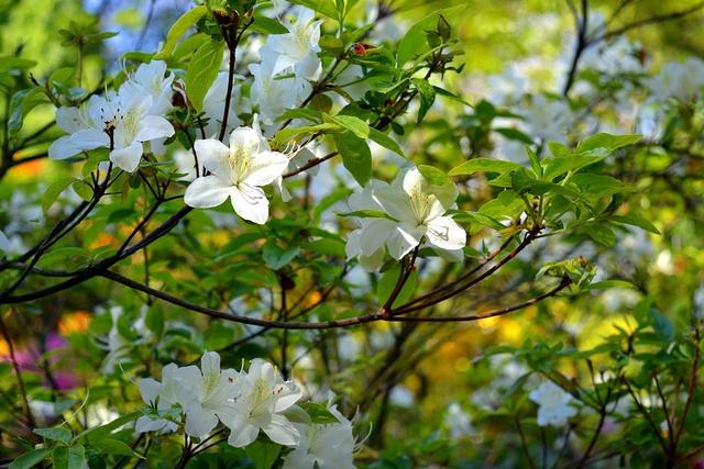 水瓶座22年运势详解 水瓶座22年全年运势完整版