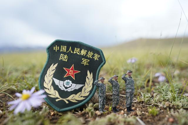 高原兵哥哥创意照，请您帮忙打个分