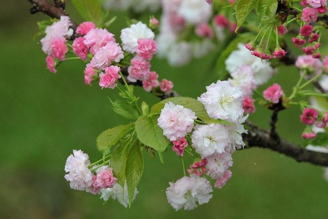 水瓶座22年运势详解 水瓶座22年全年运势完整版