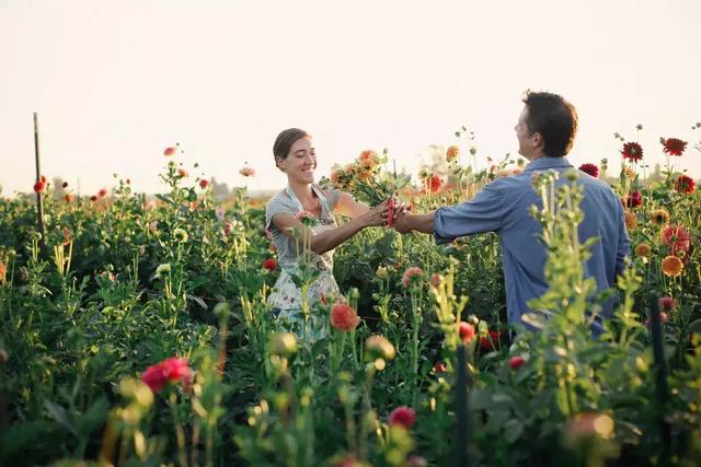 花花花花花花 她坐拥8000 花田 一家四口活成童话