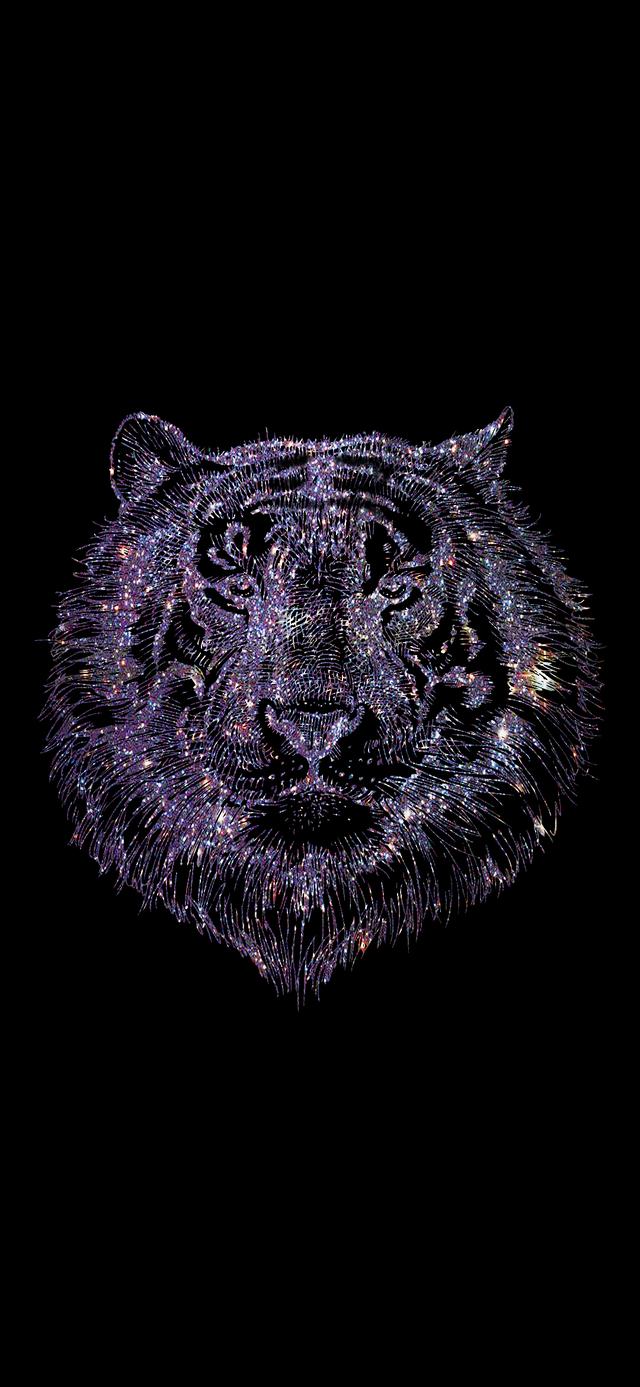 虎年壁纸 新年壁纸 立体感很强 虎年加油